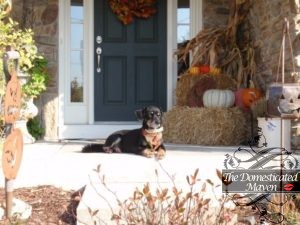 maggie-porch